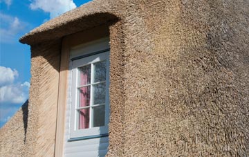 Branton thatch roof disadvantages