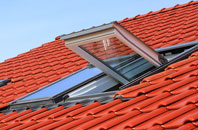 Branton roof window